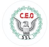 C.E.O. SAFETY SYSTEMS LIMITED
