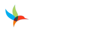 RIVET SOFTWARE LIMITED